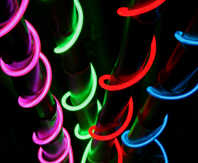 Cool Neon Photo by Jim Daigle